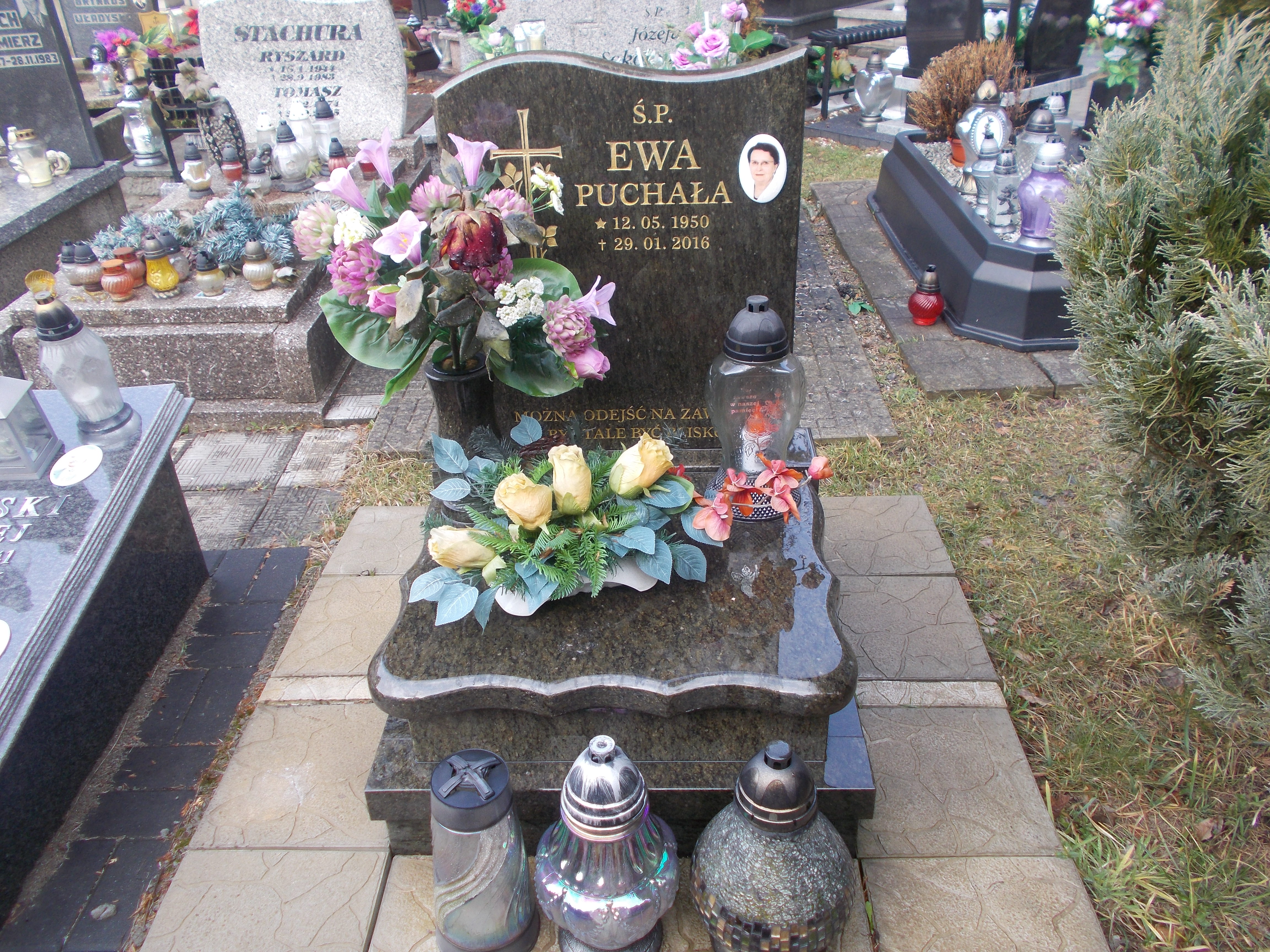 Ewa PUCHAŁA 1950 Jastrzębie-Zdrój - Grobonet - Wyszukiwarka osób pochowanych