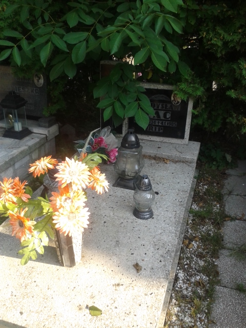 Władysław FAC 1934 Jastrzębie-Zdrój - Grobonet - Wyszukiwarka osób pochowanych