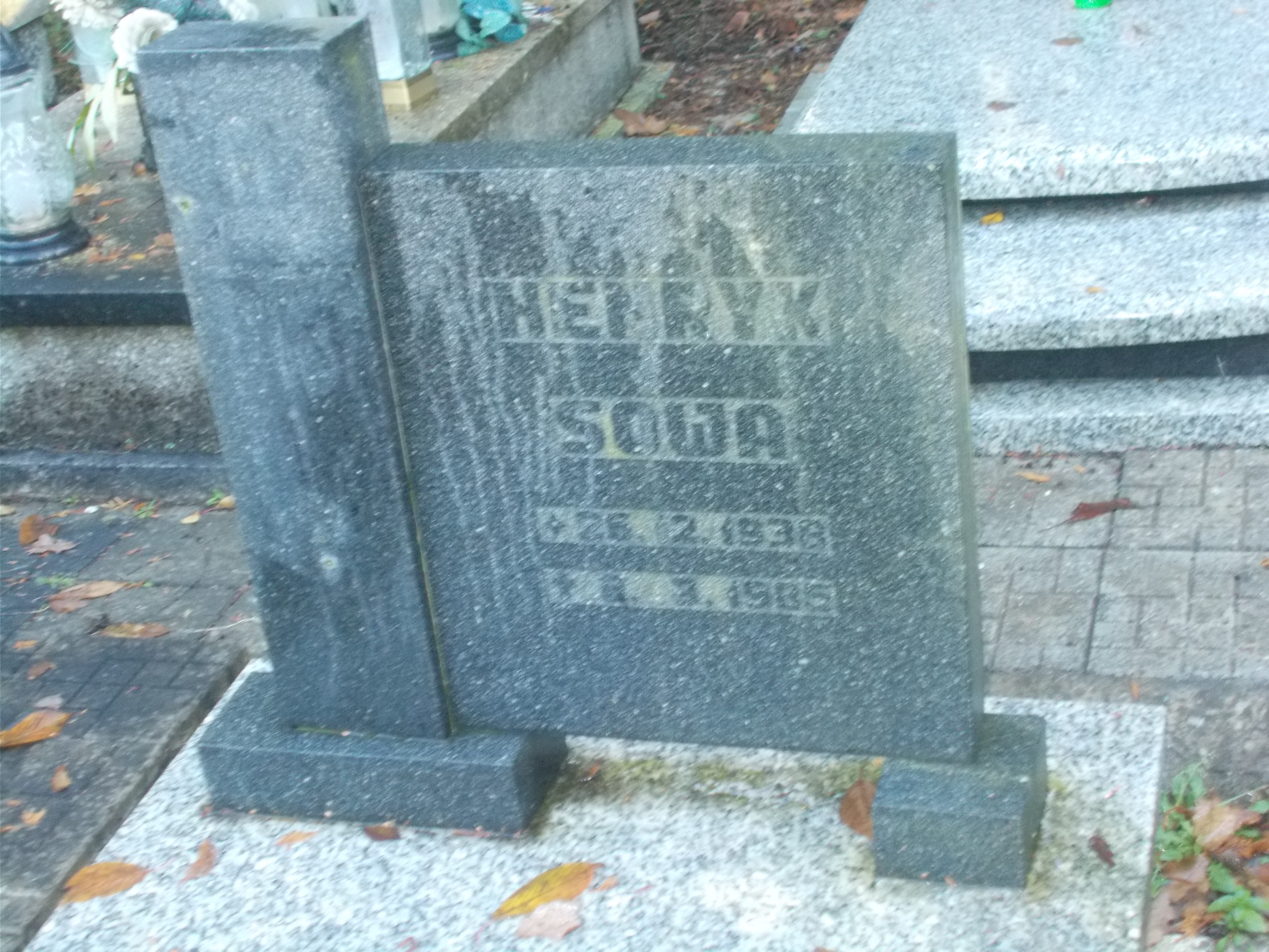 Henryk SOWA 1938 Jastrzębie-Zdrój - Grobonet - Wyszukiwarka osób pochowanych