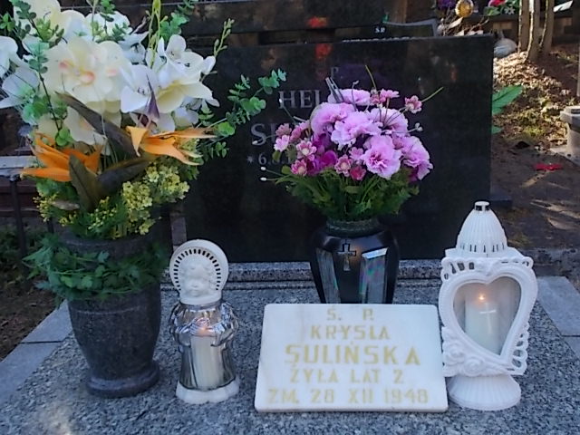 Krystyna SULIŃSKA 1946 Jastrzębie-Zdrój - Grobonet - Wyszukiwarka osób pochowanych