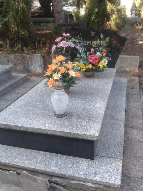 ANNIDORT TOMANIK 1931 Jastrzębie-Zdrój - Grobonet - Wyszukiwarka osób pochowanych