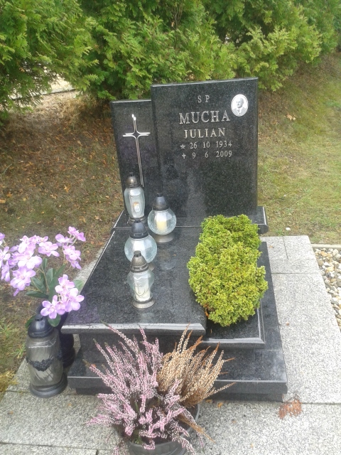 Julian MUCHA 1934 Jastrzębie-Zdrój - Grobonet - Wyszukiwarka osób pochowanych