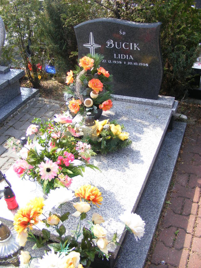 Antoni BUCIK 1937 Jastrzębie-Zdrój - Grobonet - Wyszukiwarka osób pochowanych