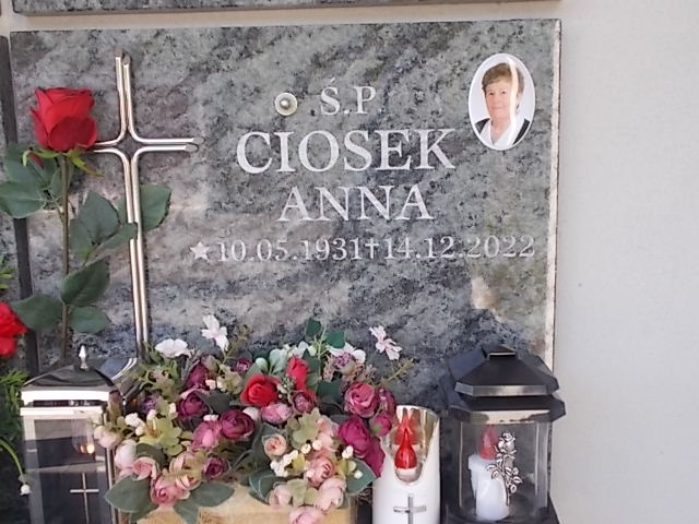 Anna CIOSEK 1931 Jastrzębie-Zdrój - Grobonet - Wyszukiwarka osób pochowanych