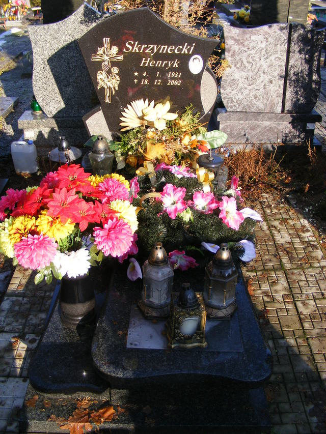 Henryk SKRZYNECKI 1931 Jastrzębie-Zdrój - Grobonet - Wyszukiwarka osób pochowanych