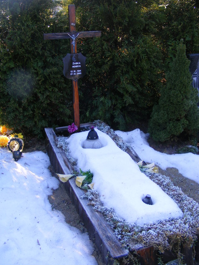 Henryk ŻABKA 1941 Jastrzębie-Zdrój - Grobonet - Wyszukiwarka osób pochowanych