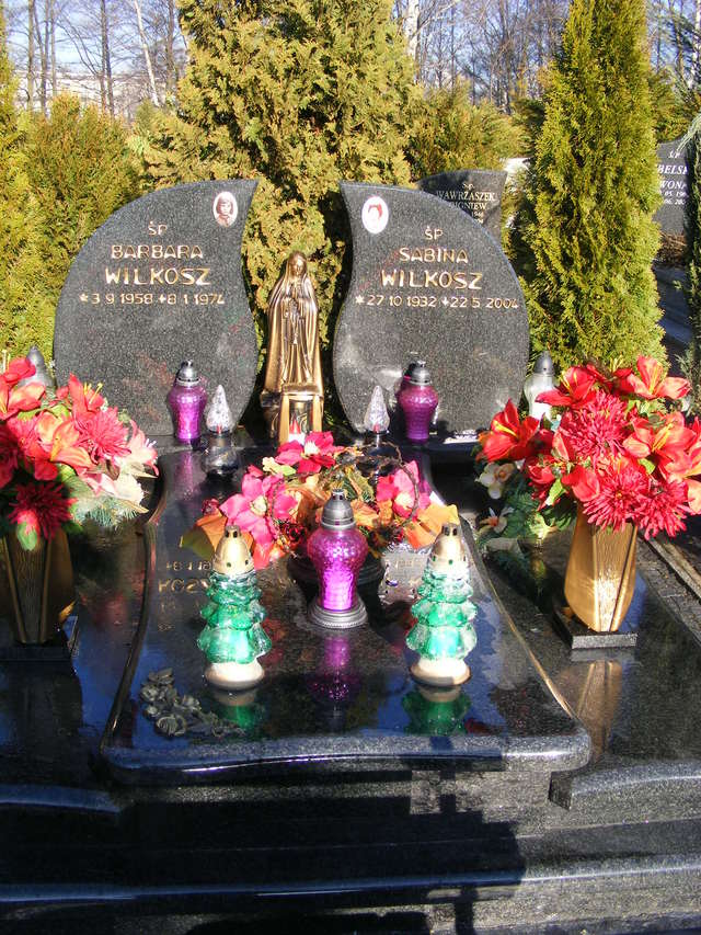 Leon WILKOSZ 1928 Jastrzębie-Zdrój - Grobonet - Wyszukiwarka osób pochowanych