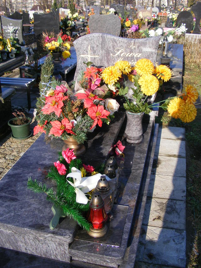 Krystyna SOWA 1958 Jastrzębie-Zdrój - Grobonet - Wyszukiwarka osób pochowanych